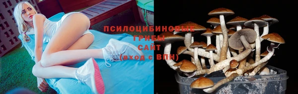 кокаин колумбия Новозыбков