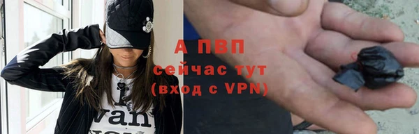 гидра Новокубанск