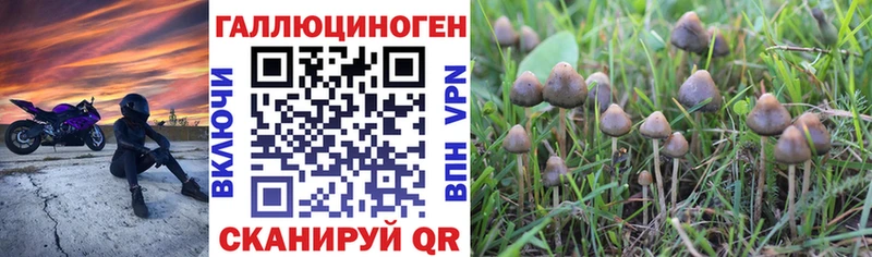 Галлюциногенные грибы MAGIC MUSHROOMS  Пучеж 